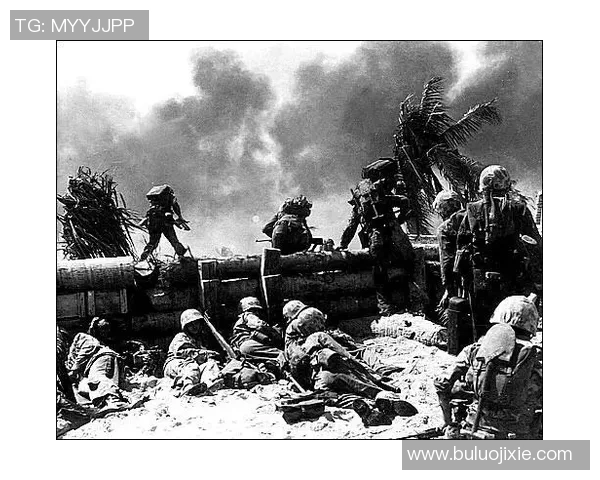 十字军与托尔港的激烈对抗与历史交织探秘之旅